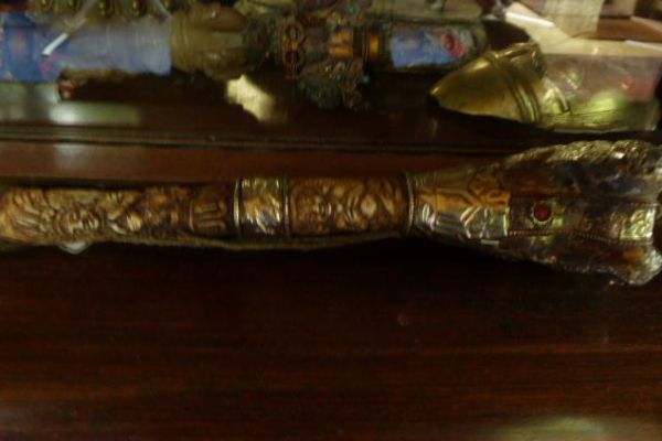 Kangling-asiatica foth freiburg